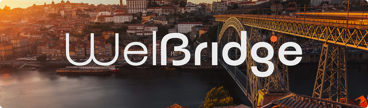 Porto bridge